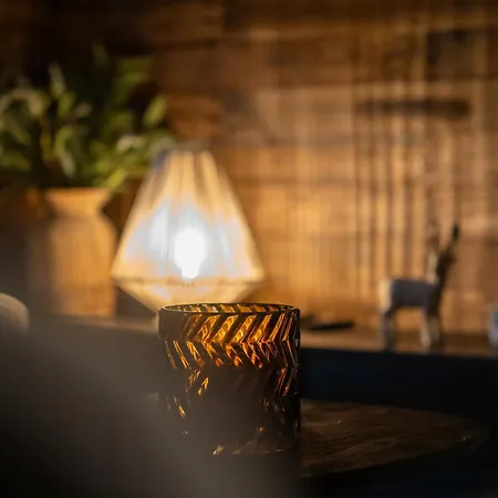 Nature Village - N°19 - 4 Personnes Avec Jacuzzi ロッジ ビューリンゲン